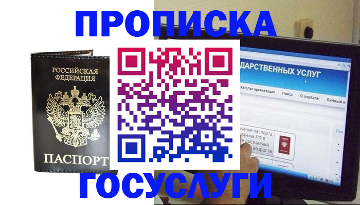 прописка гарантия в Новгородской области